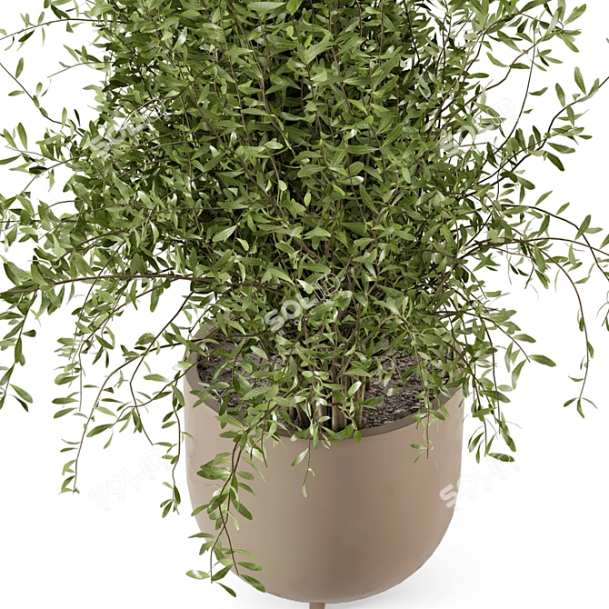 Rusty Concrete Pot Indoor Plants 3D model image 5