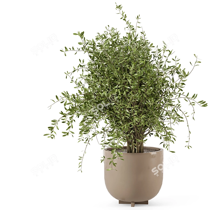 Rusty Concrete Pot Indoor Plants 3D model image 6