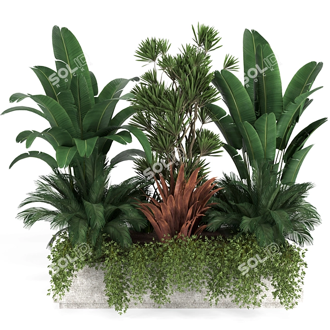 Climber Plant Flower Box Set 3D model image 1