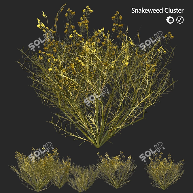 Snakeweed Cluster 3D Model 3D model image 1