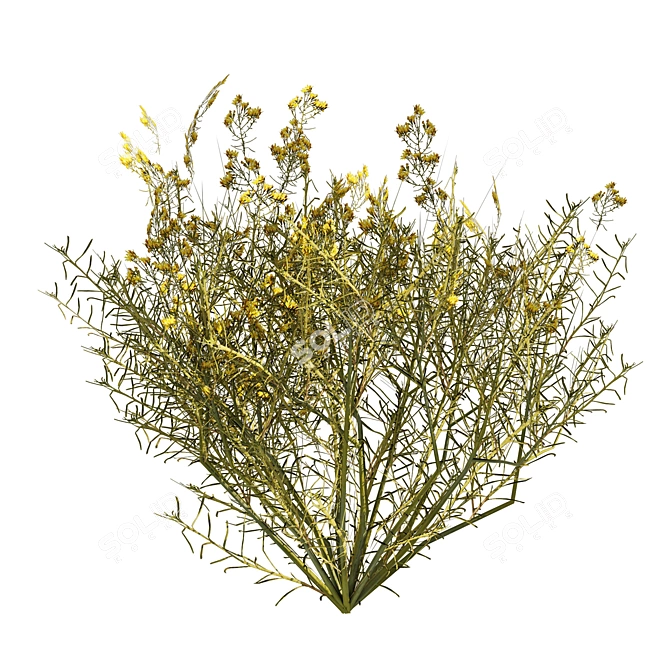 Snakeweed Cluster 3D Model 3D model image 4