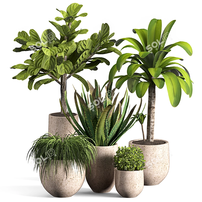 Contemporary Indoor Plant Set 04 3D model image 1