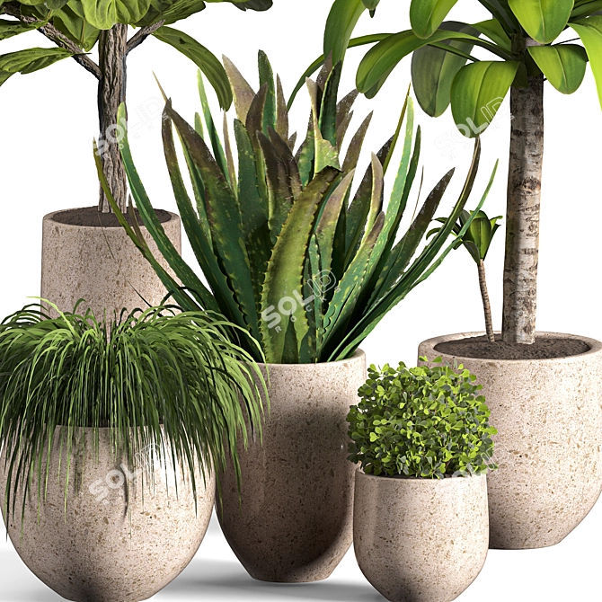 Contemporary Indoor Plant Set 04 3D model image 2