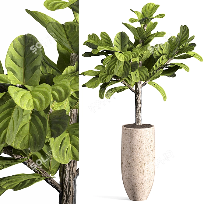 Contemporary Indoor Plant Set 04 3D model image 3