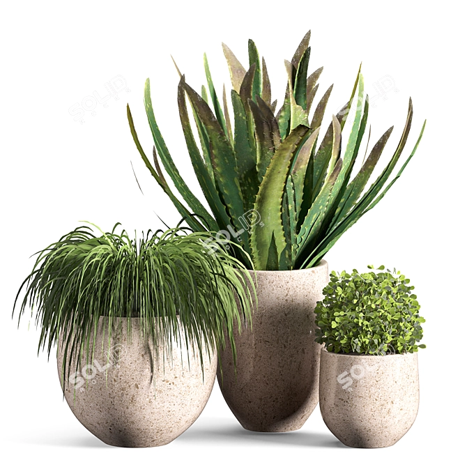 Contemporary Indoor Plant Set 04 3D model image 5