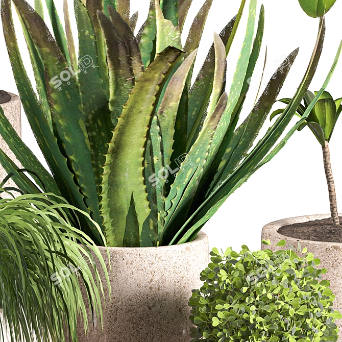 Contemporary Indoor Plant Set 04 3D model image 6