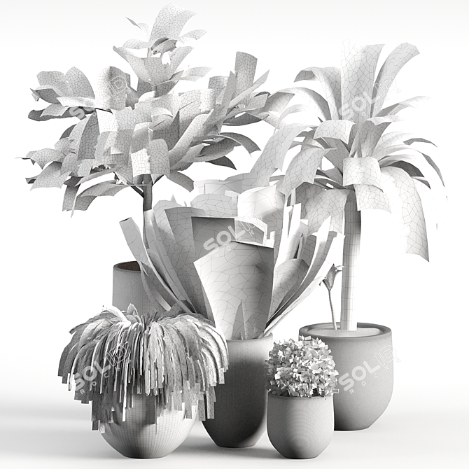 Contemporary Indoor Plant Set 04 3D model image 7