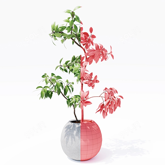 Optimized Indoor Plants 3D Models 3D model image 3