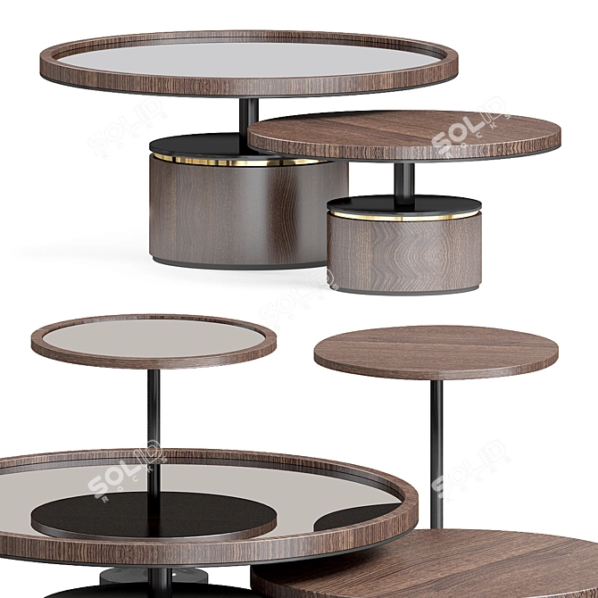 Elegant FRATO PAROS Coffee Table 3D model image 1