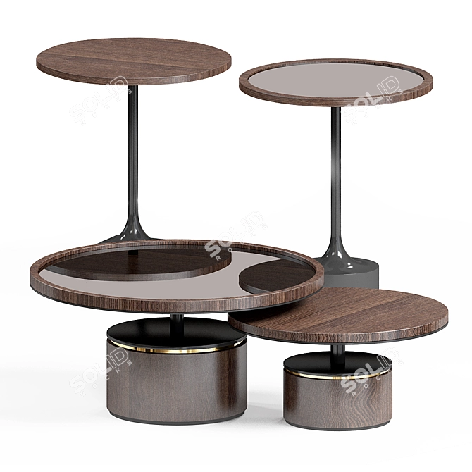 Elegant FRATO PAROS Coffee Table 3D model image 2