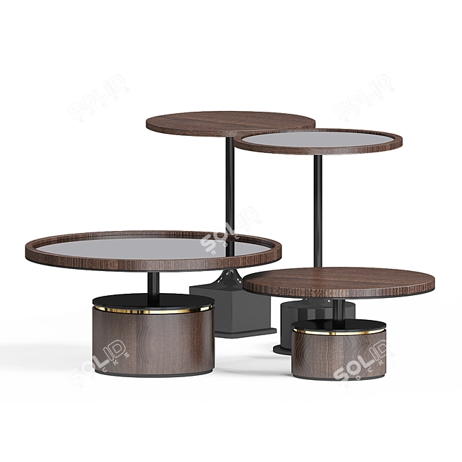 Elegant FRATO PAROS Coffee Table 3D model image 3