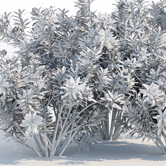 Mediterranean Oleander Collection Vol. 112 3D model image 6