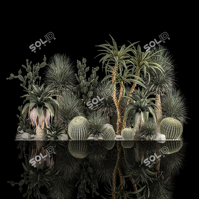 Desert Cactus Collection on Gravel 3D model image 2