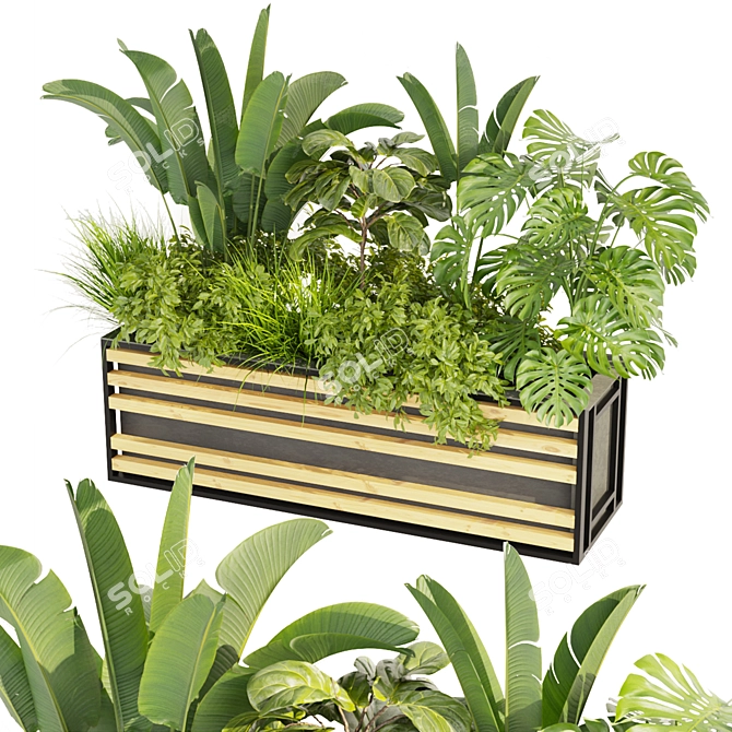 Premium Plant Collection 3D Model 3D model image 1