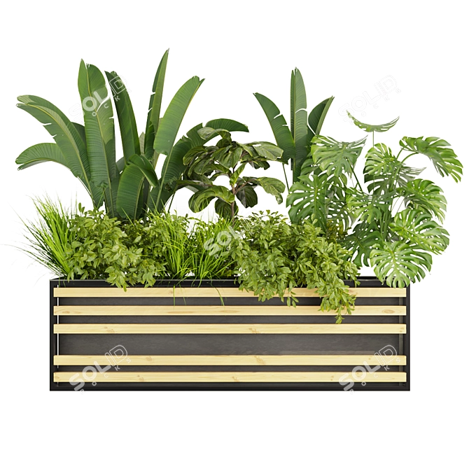 Premium Plant Collection 3D Model 3D model image 2