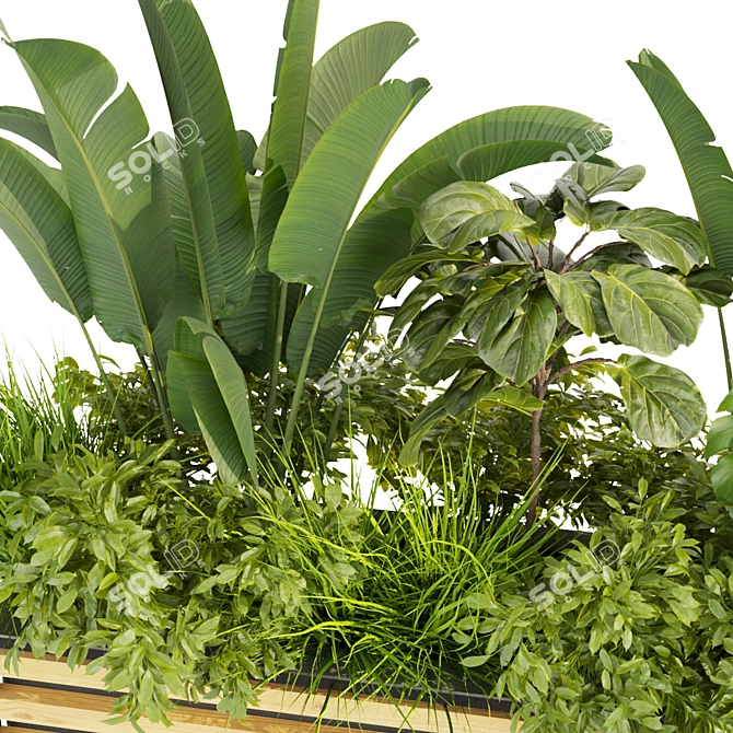 Premium Plant Collection 3D Model 3D model image 3