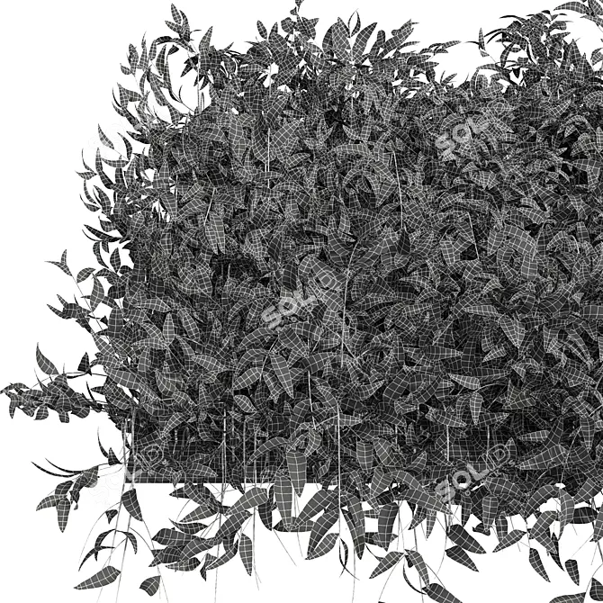 High Detail Pyrrosia Lingua Fern 3D model image 4