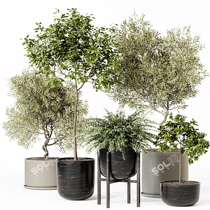 High-Quality Indoor Plant Set 3D model image 1