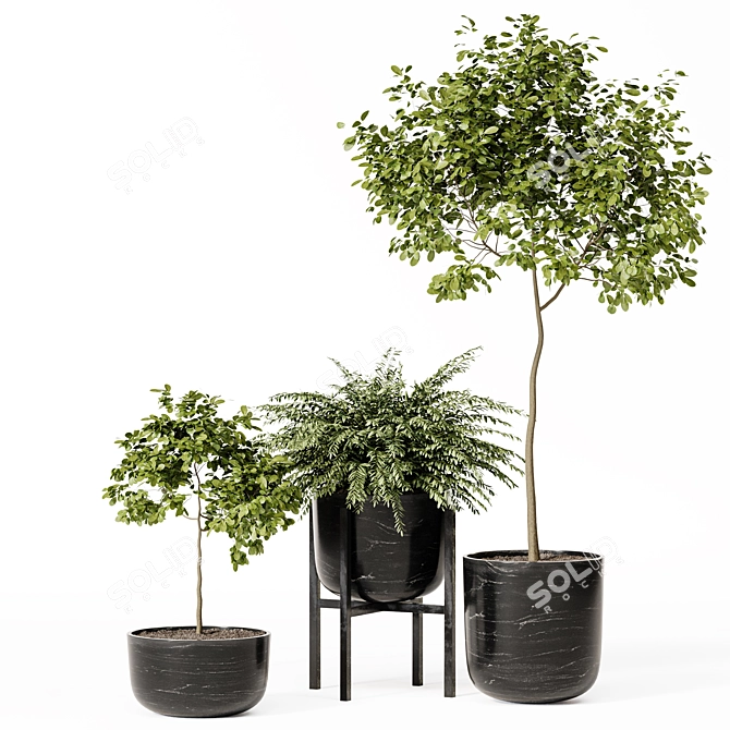 High-Quality Indoor Plant Set 3D model image 3