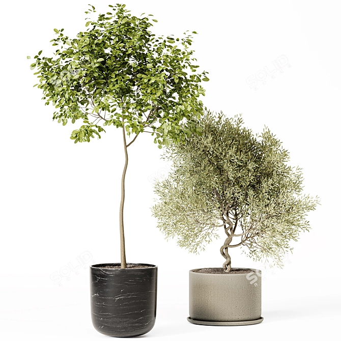 High-Quality Indoor Plant Set 3D model image 4