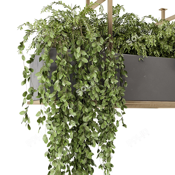 Gray Pot Hanging Plants Collection 3D model image 3