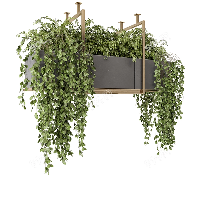 Gray Pot Hanging Plants Collection 3D model image 6