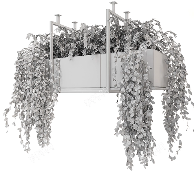 Gray Pot Hanging Plants Collection 3D model image 7