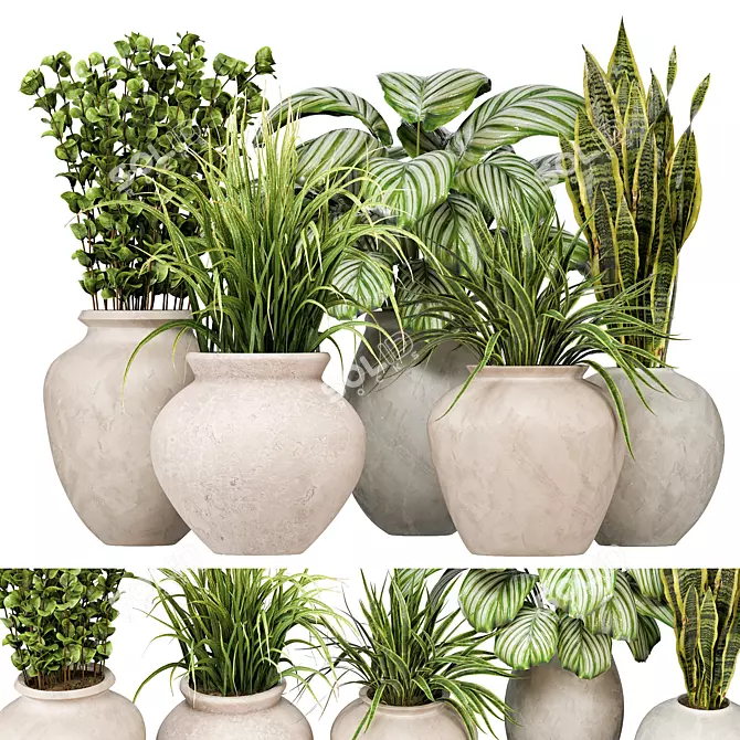 Indoor Plants 3D Model Collection 3D model image 1