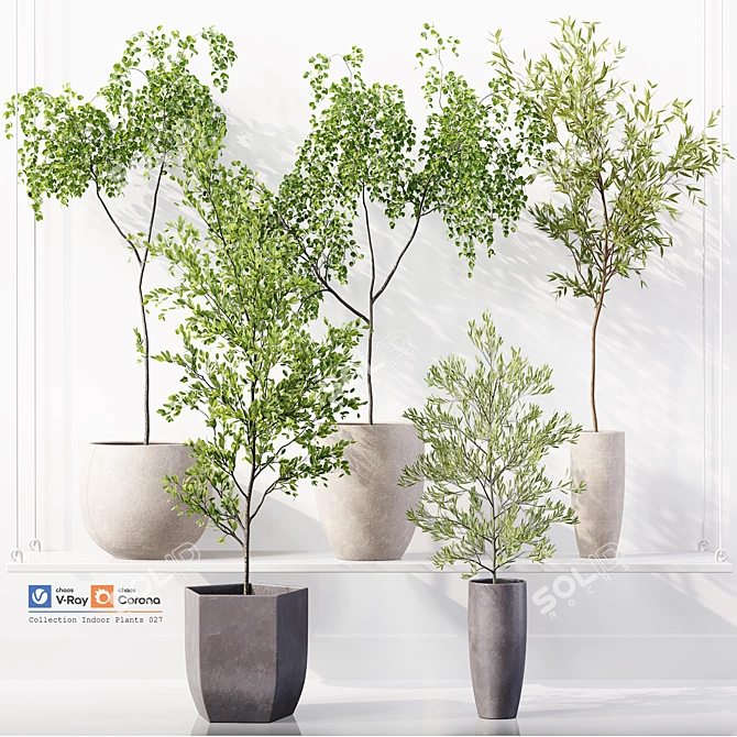 High-Quality Collection of Indoor Plants 3D model image 1