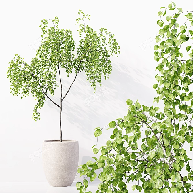 High-Quality Collection of Indoor Plants 3D model image 5