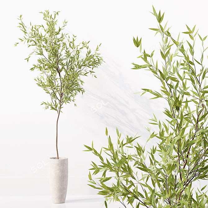 High-Quality Collection of Indoor Plants 3D model image 6