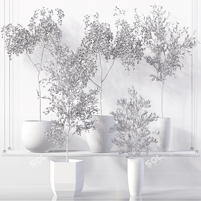 High-Quality Collection of Indoor Plants 3D model image 7