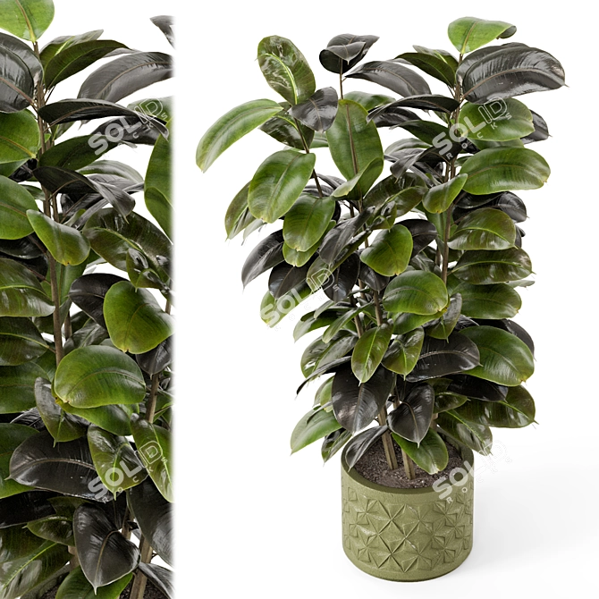 Rusty Concrete Pot Indoor Plants 3D model image 3