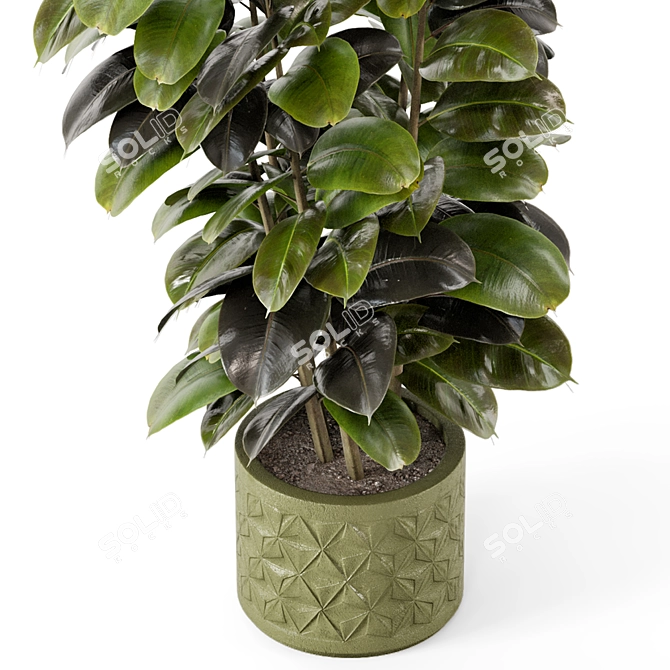 Rusty Concrete Pot Indoor Plants 3D model image 5