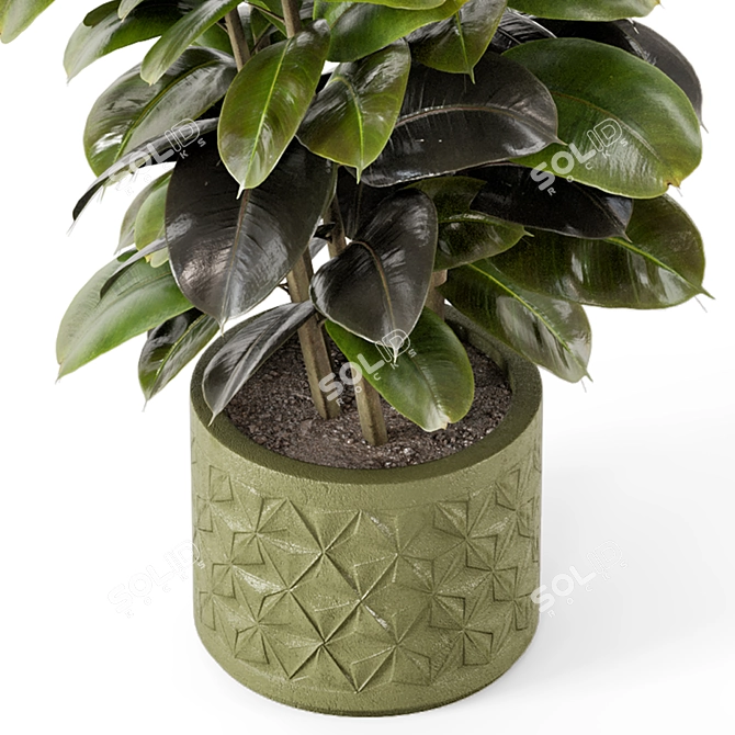 Rusty Concrete Pot Indoor Plants 3D model image 7