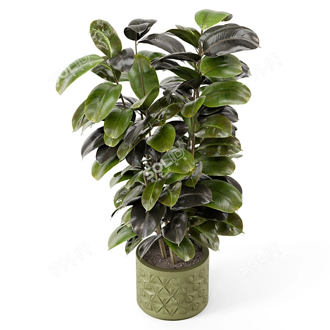 Rusty Concrete Pot Indoor Plants 3D model image 1