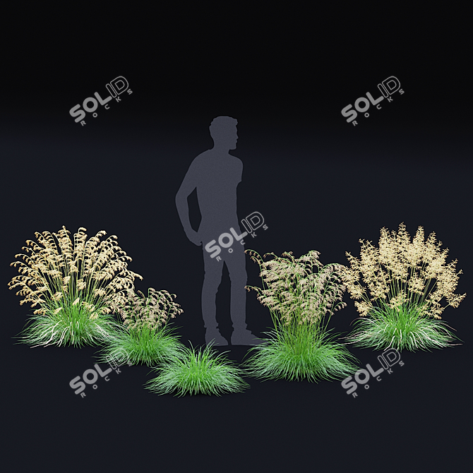 Dense Meadow Grass Collection 3D model image 3