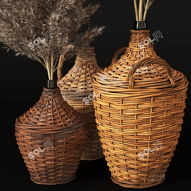 Pampas Grass in Woven Bottles 3D model image 2