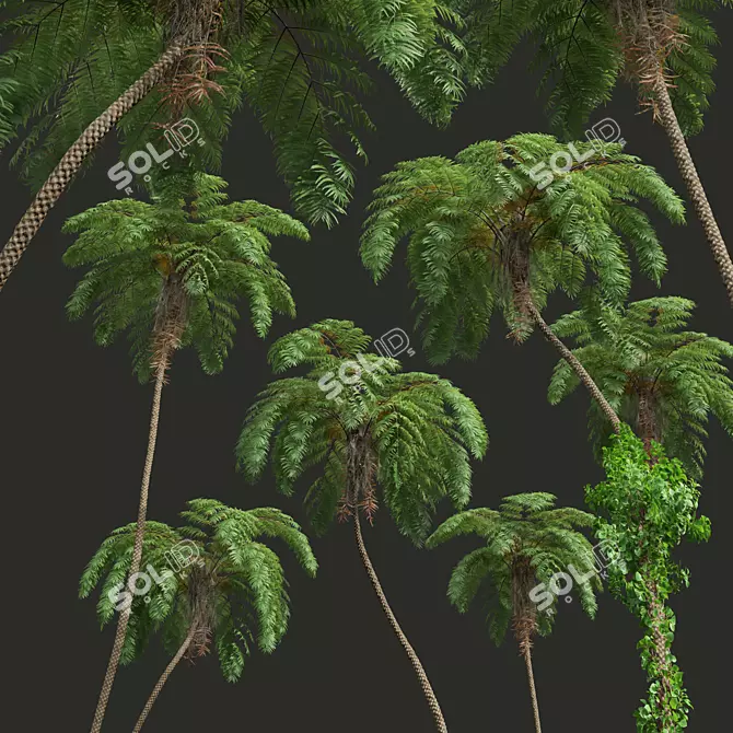 Ancient Tree Fern 3D Model 3D model image 5