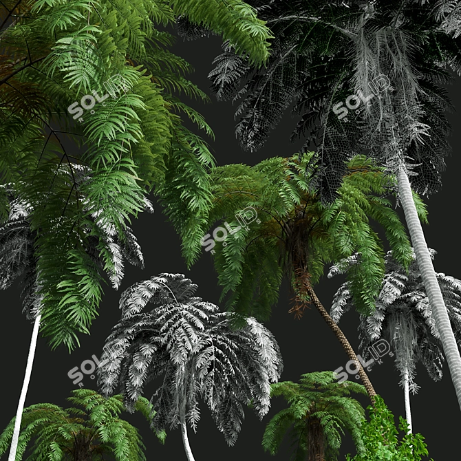 Ancient Tree Fern 3D Model 3D model image 6