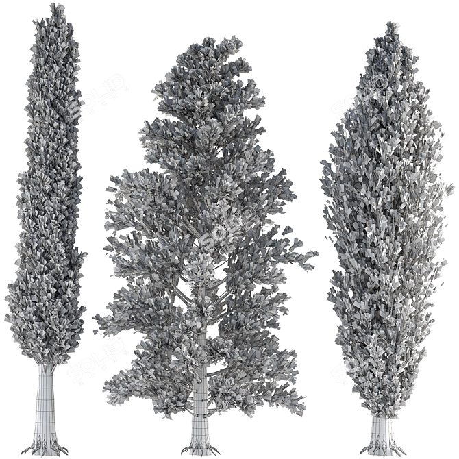 Outdoor Pine Tree Trio 3D model image 6