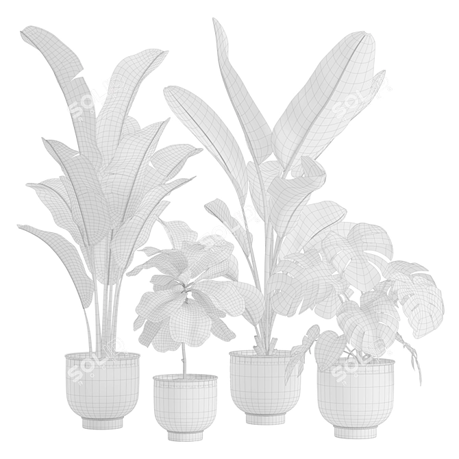 Exotic Indoor Plants Pack 23 3D model image 3