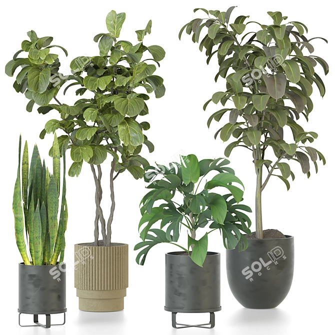 Modern Indoor Plant Collection Kit 3D model image 1