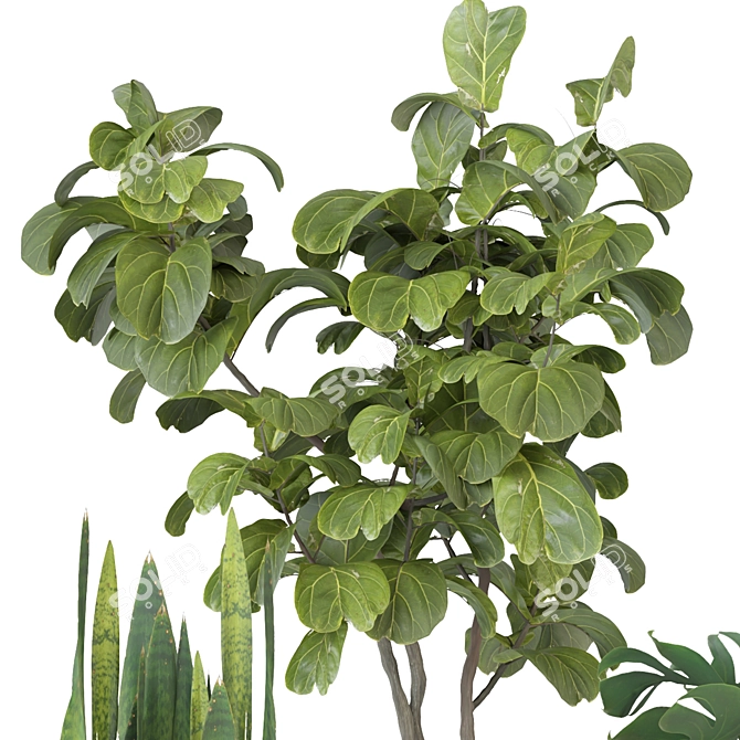 Modern Indoor Plant Collection Kit 3D model image 2