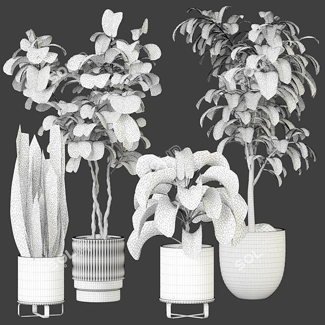 Modern Indoor Plant Collection Kit 3D model image 4