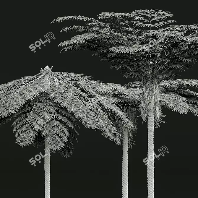 Mountain Fern Tree 3D Model 3D model image 5