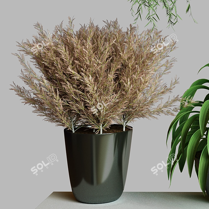 Modern Collection Indoor Plant Set 3D model image 2