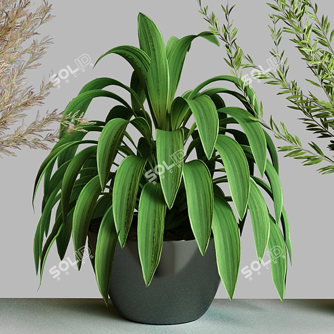 Modern Collection Indoor Plant Set 3D model image 3