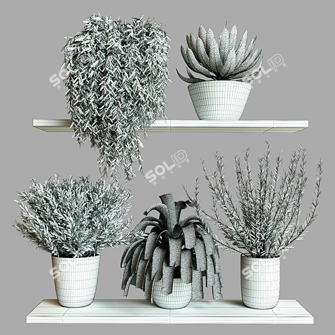 Modern Collection Indoor Plant Set 3D model image 5