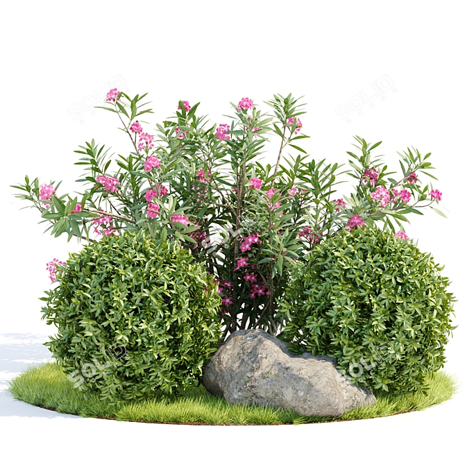  Premium Laurel Hedging Bushes 3D Model 3D model image 1